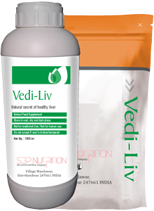 Vedi-Liv